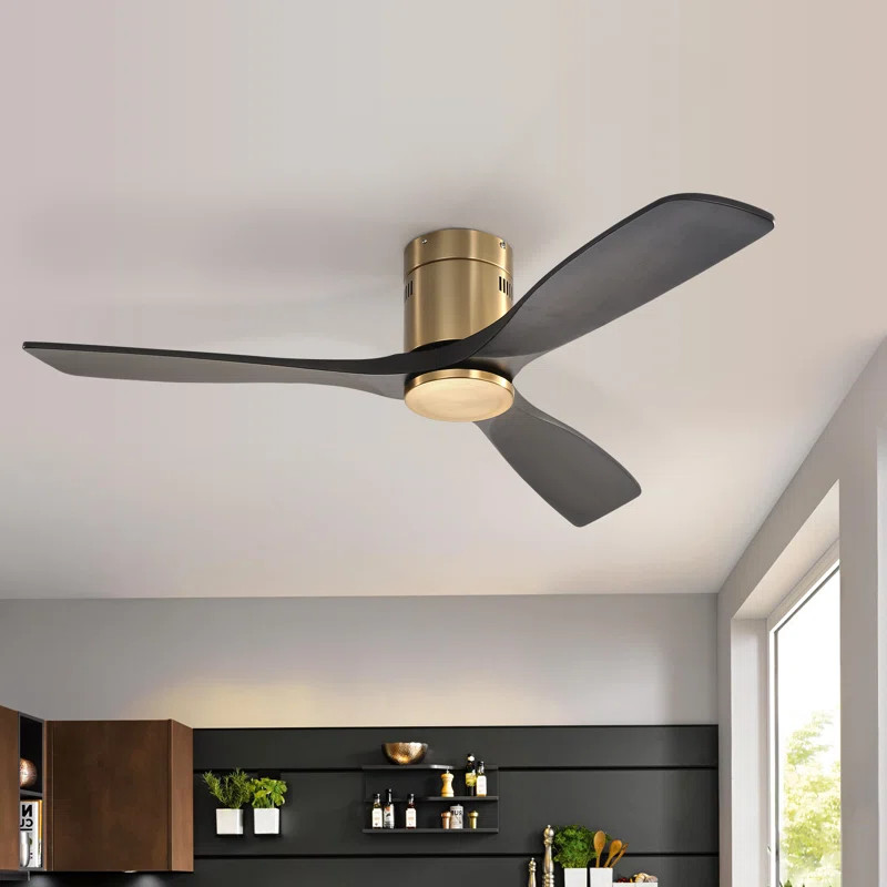 Nicola 52'' Ceiling Fan Without Lights | Wayfair North America