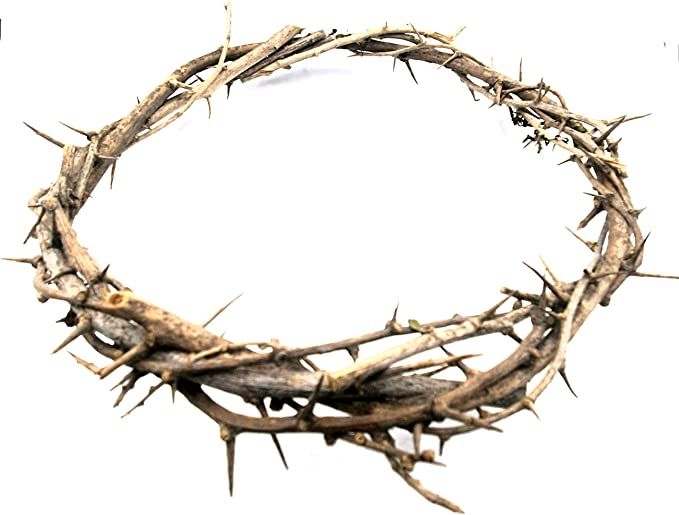 Amazon.com: Zuluf Crown of Thorns Bethlehem Jerusalem HOLY Land aprox 7.5" Diameter | Passion of ... | Amazon (US)