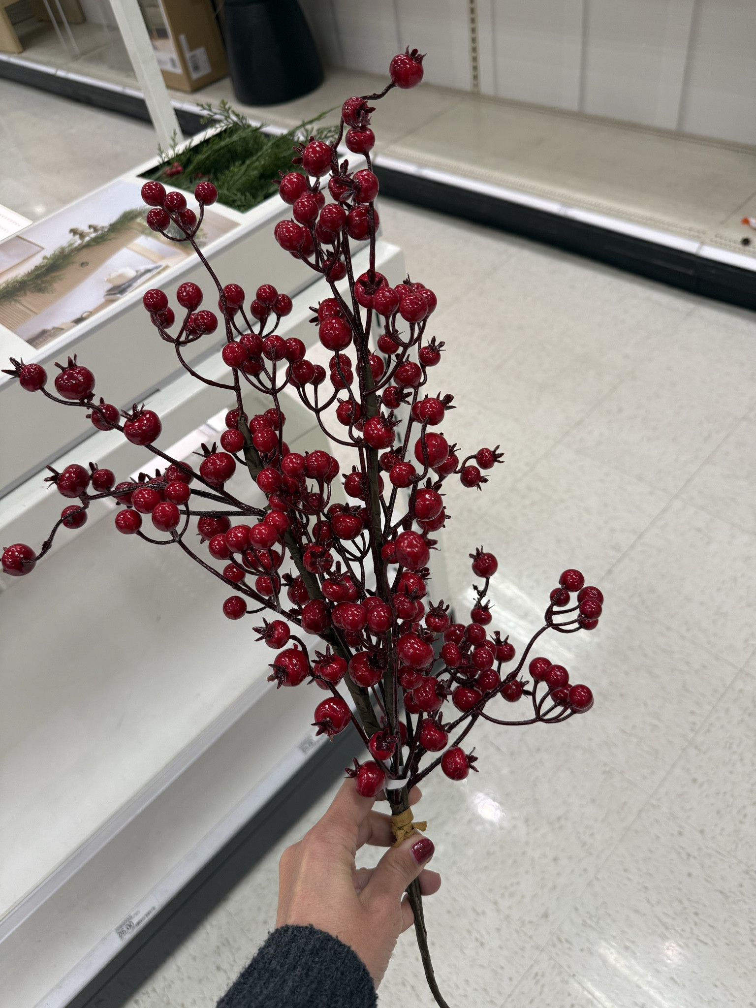I have been sticking these red berries everywhere! Such an easy way to add a pop of red and make an area or arrangement more festive  

#LTKSeasonal #LTKHome #LTKHoliday