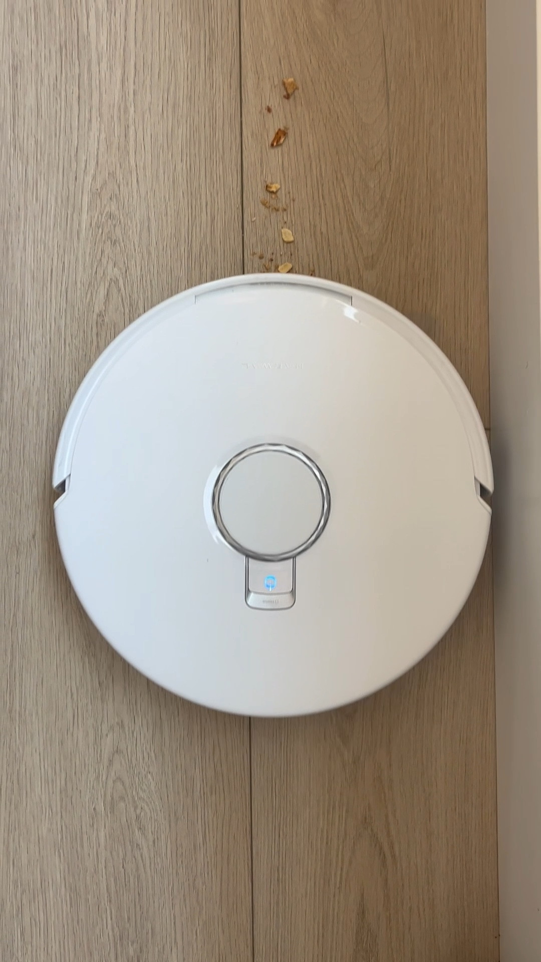 Narwal Freo Z10 is a game changer! Mopping floors by hand is old news 
💫 vacuum and mop in one
💫 zero tangling brushes release hair
💫 removes 99% particles from carpet and hard floors
💫 Maintenance-free base 

#roboticvacuum #vacuumm

#LTKFamily #LTKHome #LTKSummerEdit