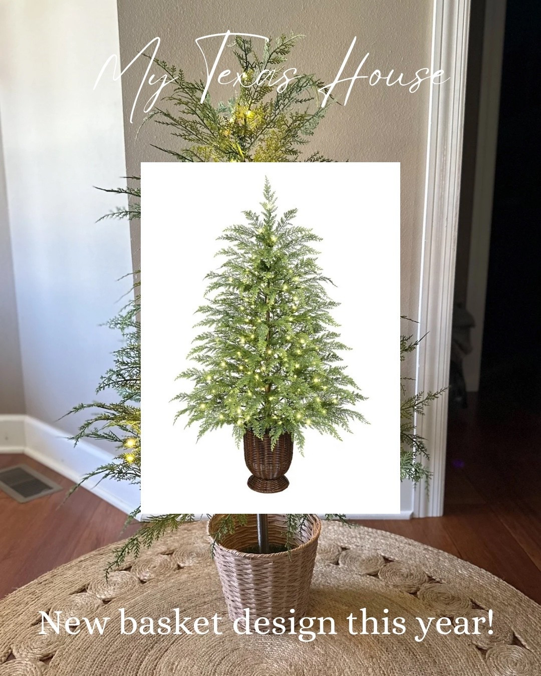 The viral My Texas House 4’ tree is back this year with a newly designed planter! So pretty!

#LTKHome #LTKSeasonal