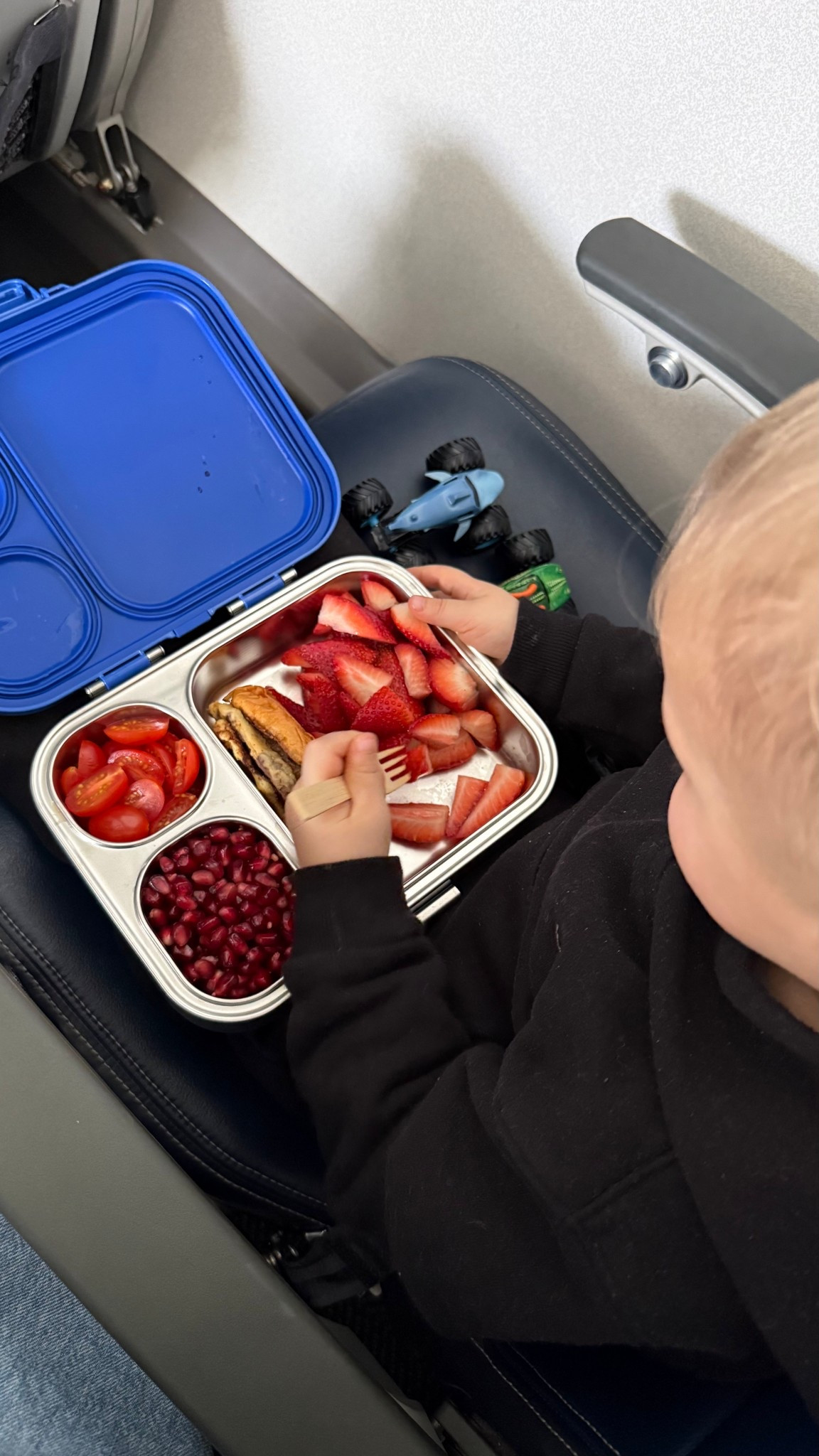 Stainless steel & BPA free lunchbox, with great sealer. Perfect for the to go meals/snacks. 

#LTKKids #LTKmomlife #LTKTravel