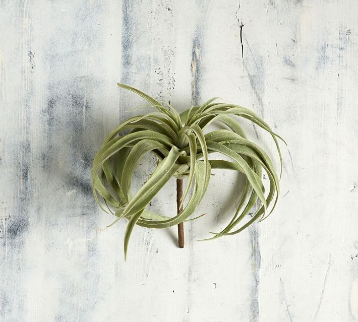Faux Tillandsia Succulent Stem | Pottery Barn (US)