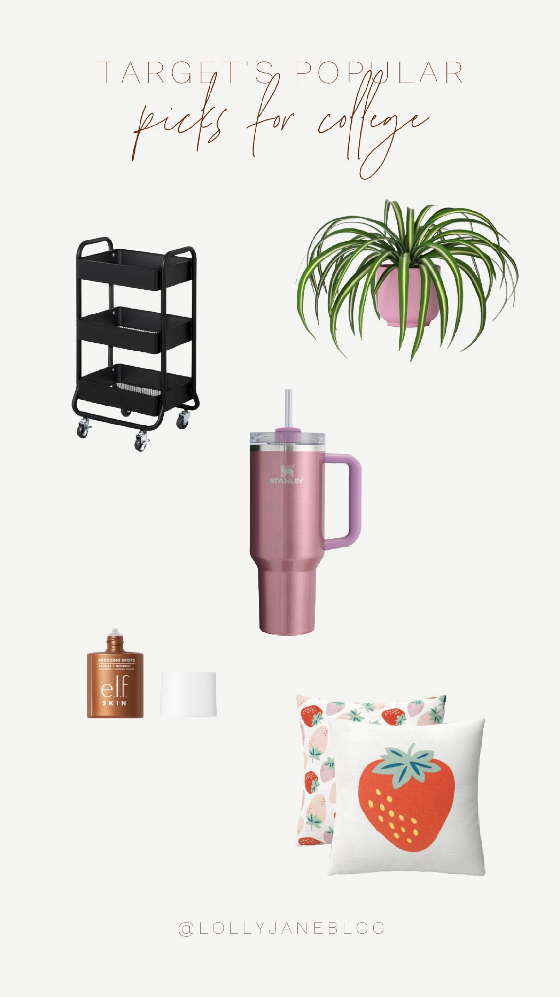 Targets popular picks for college! 

These fun finds are perfect for your dorm, in class, or on the go! This Stanley is so stinkin cute, and it’s the 2.0 for less leakage! 
This shelf is such a must have for any space, and could even hold this cute plant perfectly! 
Throw pillows are always a must! These strawberry pillows would really pull a cottage core vibe together. 
And some makeup to fishing things off! This ELF glow highlight has amazing reviews!! 🫶🏻🤍

#LTKxNSale #LTKHome #LTKBacktoSchool