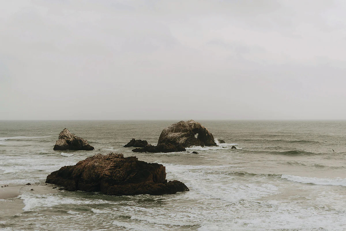 Shallow | Juniper Print Shop