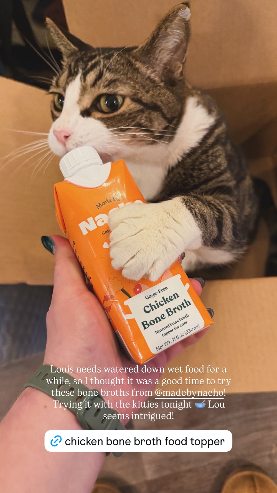 Louis needs watered down wet food for a while, so I thought it was a good time to try these bone broths from @madebynacho! Trying it with the kitties tonight 🥣

#LTKstorytime #LTKfoodie #LTKdayinmylife