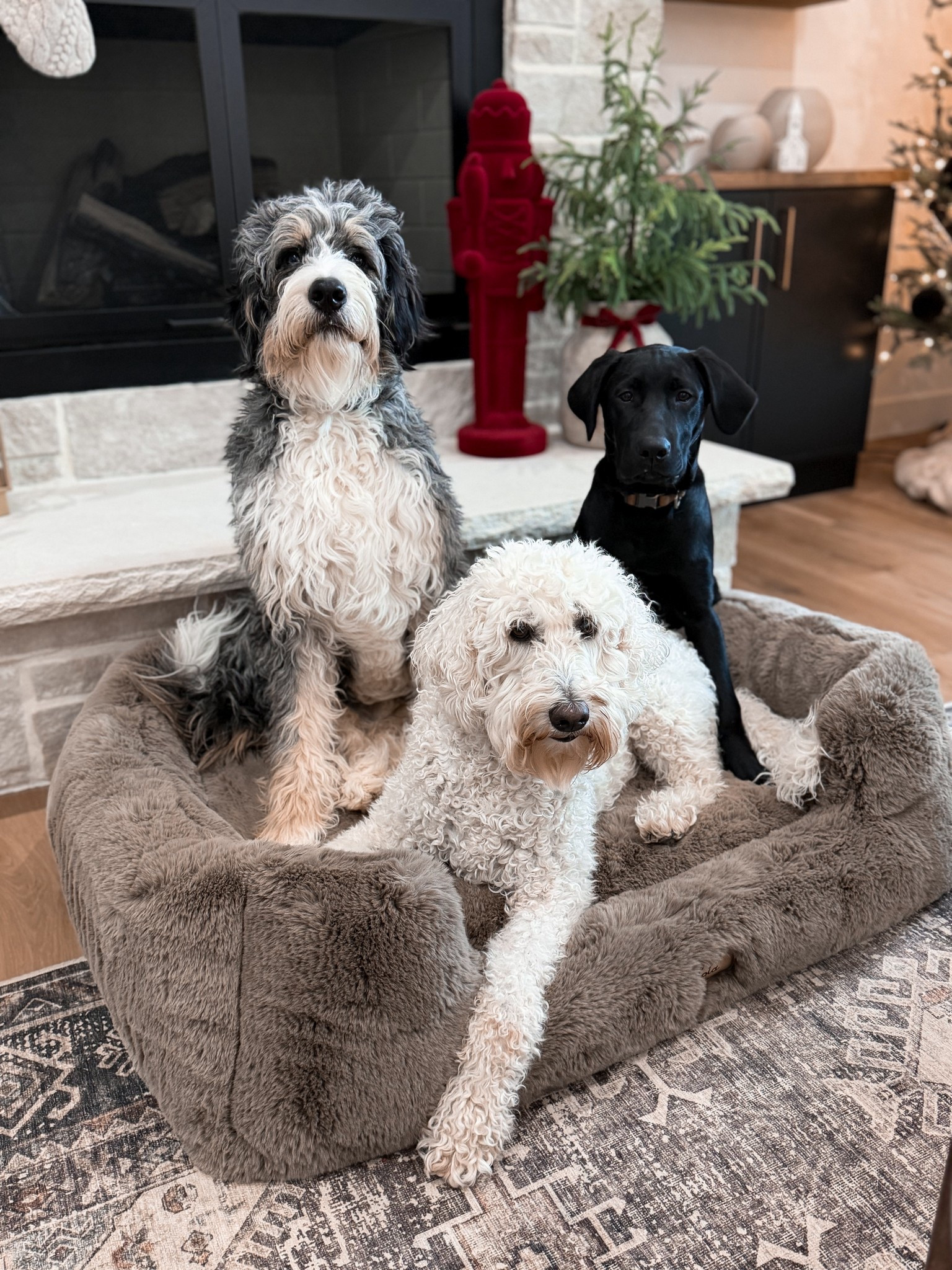 The best let bed! Use code JESSAJOO

#LTKGiftGuide #LTKHoliday #LTKSaleAlert