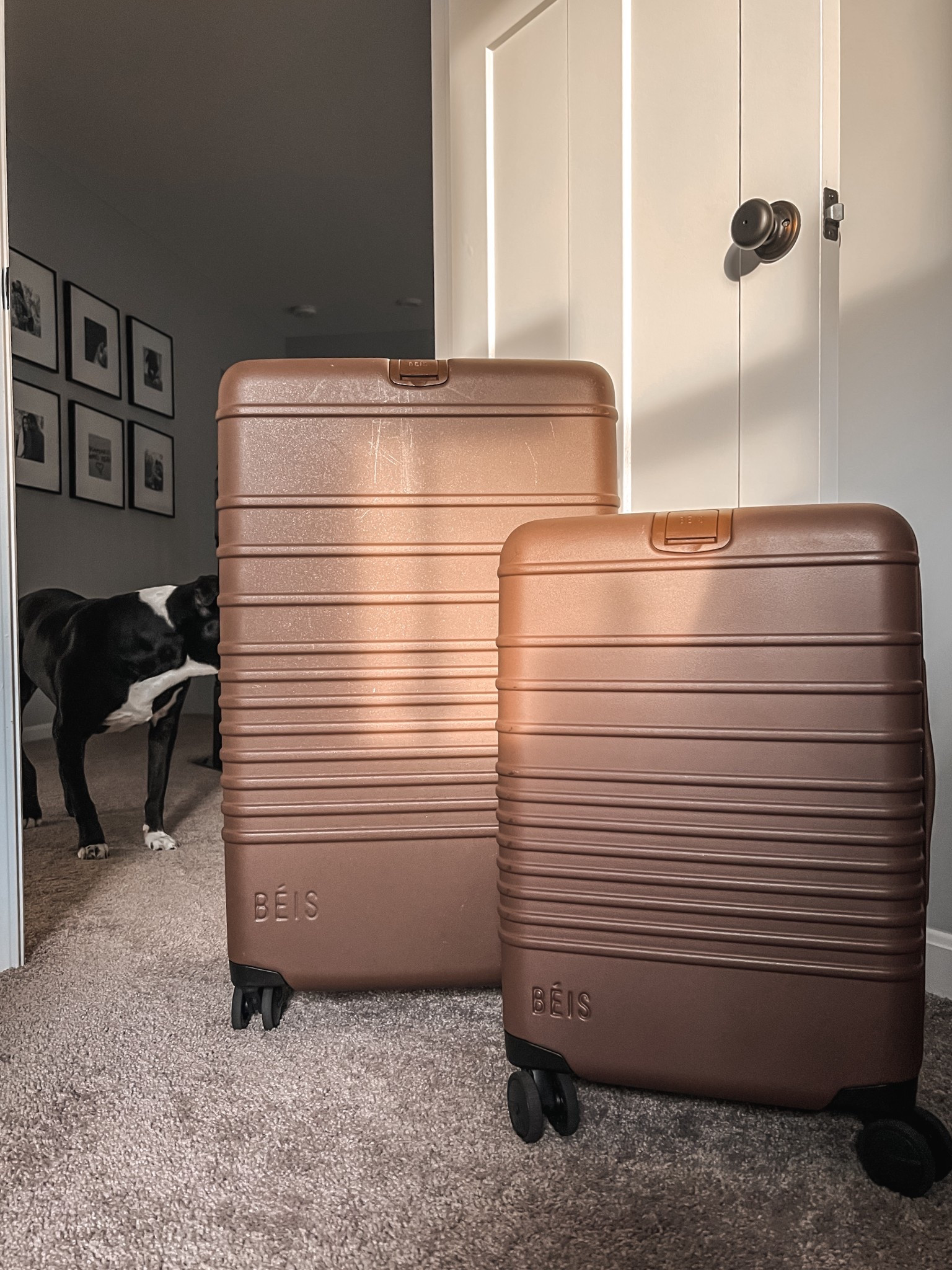 The best luggage hands down!✨Beis has 30% off sitewide— sale ends tonight! This is the large roller & the carry-on in the Maple!

#LTKSaleAlert #LTKCyberWeek #LTKTravel