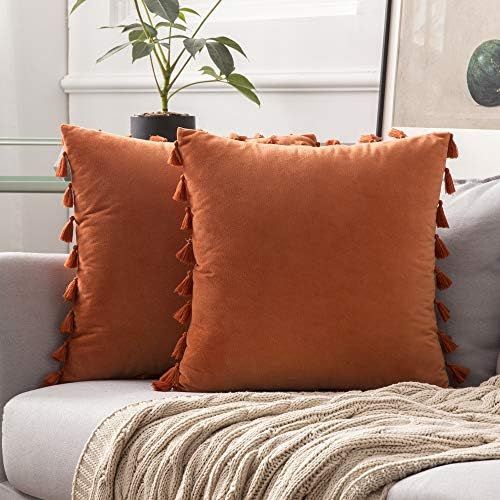 MIULEE Pack of 2 Velvet Soft Solid Decorative Throw Pillow Cover with Tassels Fringe Boho Accent ... | Amazon (US)