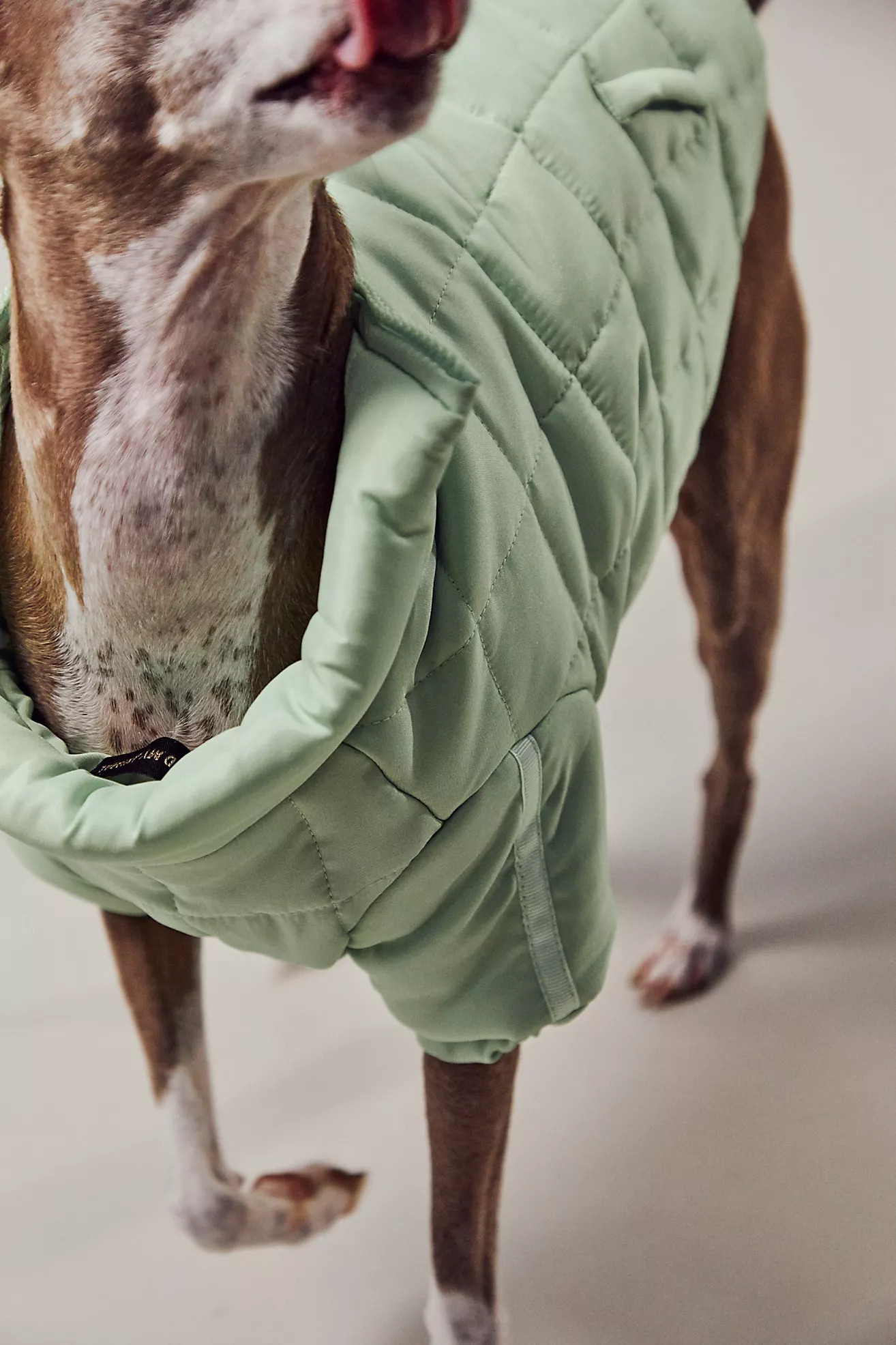 FP x Found My Animal Pippa Puffer Pet Jacket | Free People (Global - UK&FR Excluded)