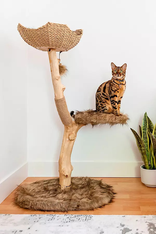 Uni Cat Tree | Anthropologie (US)