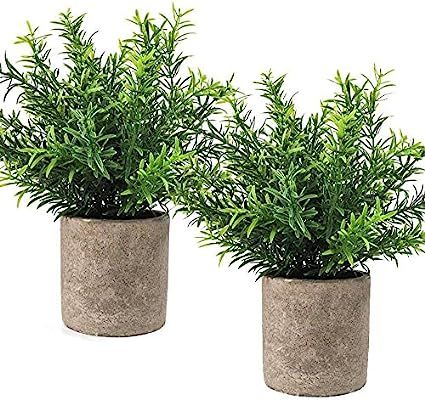 CEWOR 2pcs Artificial Potted Plants Mini Fake Plastic Bamboo Leaves Faux Plants for Home Office P... | Amazon (US)