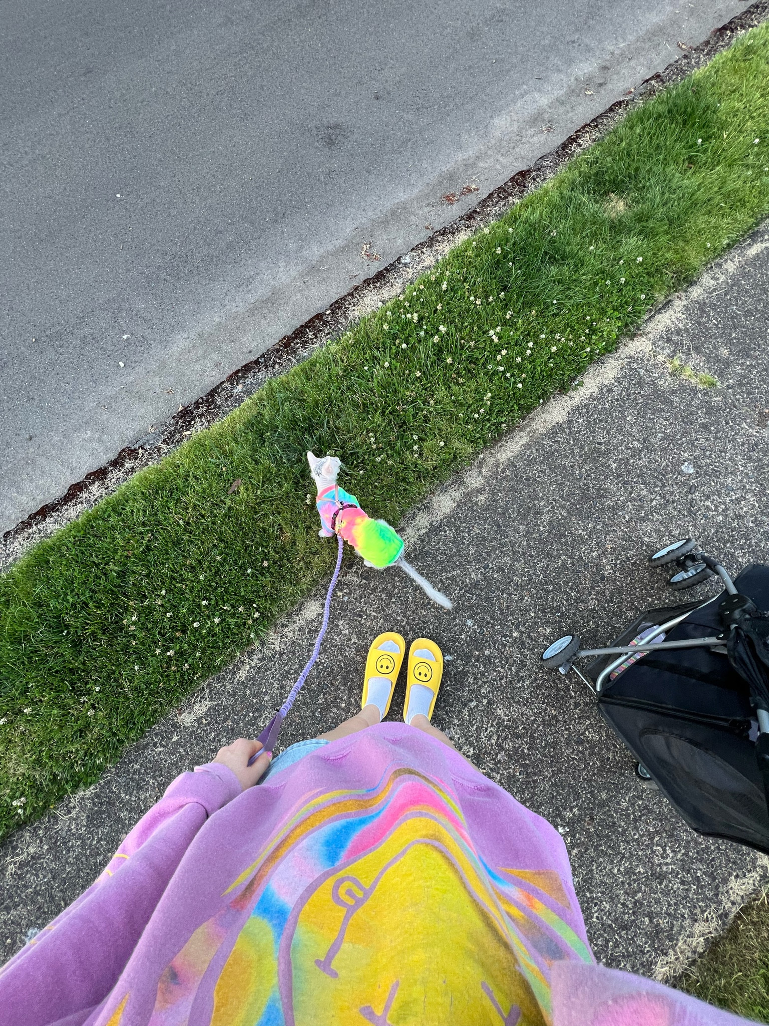 Hot girl walk - slides run big I sized down! #cats #color #tall

#LTKActive