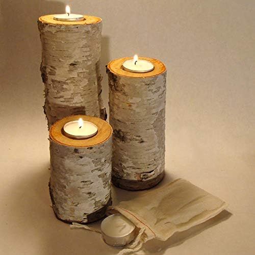 Real Birch Log Tea-Light Candleholder Set (3) (Candles Included) Clear Sealed Tops to Protect The... | Amazon (US)