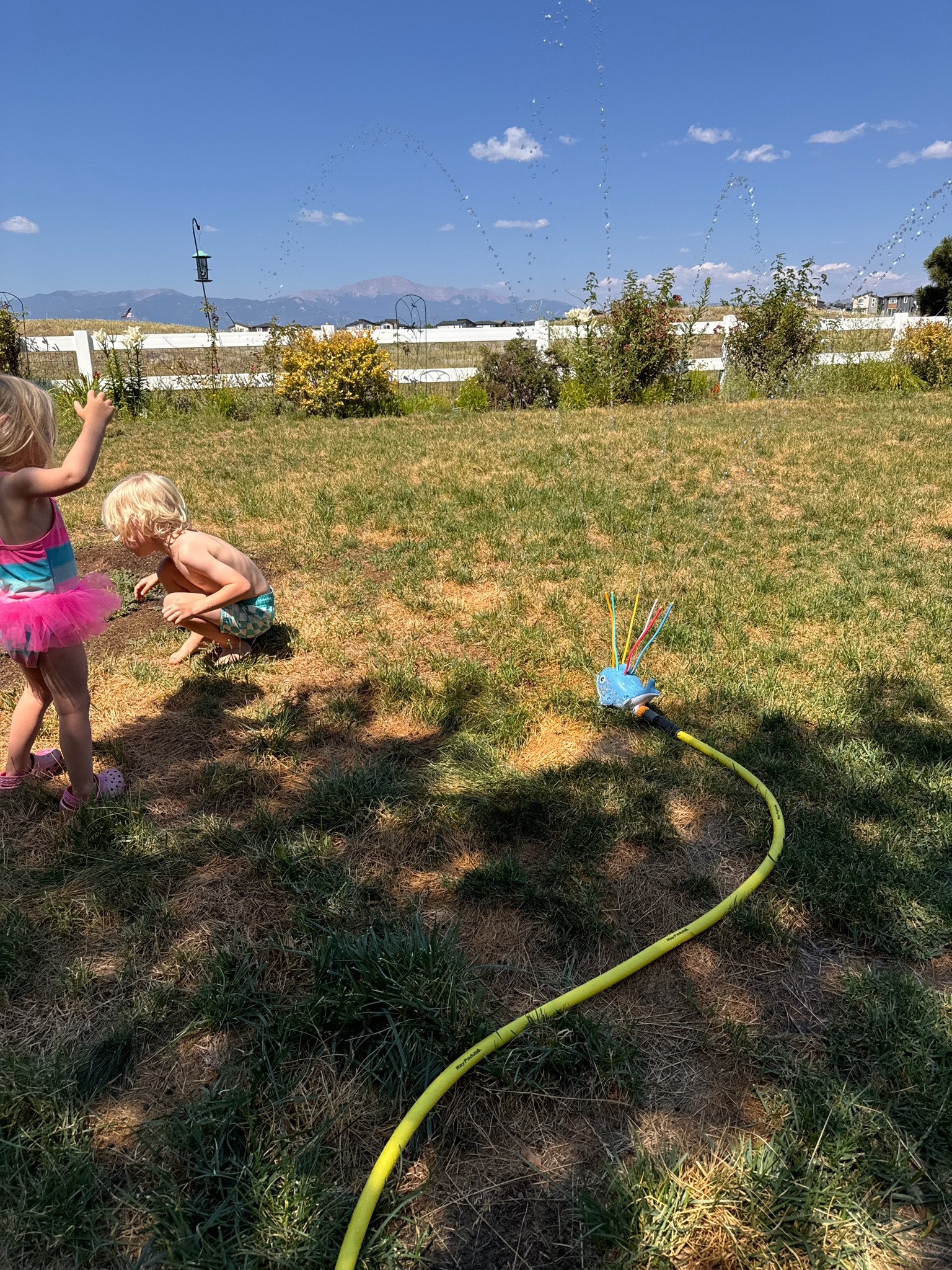 Perfect outdoor water toys for littles!

#LTKKids #LTKFamily