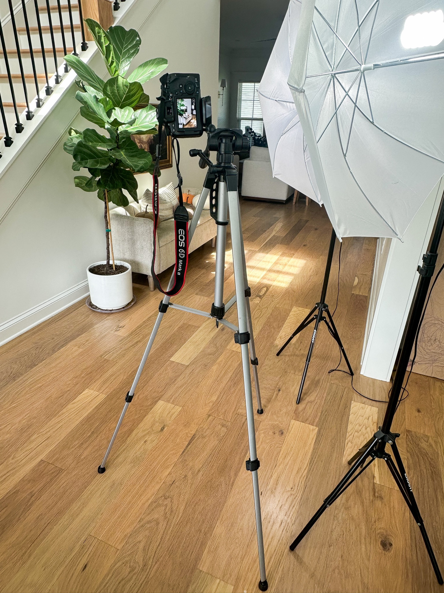 Camera, Tripod and Lighting I use for content creation 📸✨

#LTKSale #LTKVideo #LTKhome