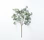 Faux Oversized Silver Dollar Eucalyptus Branch | Pottery Barn (US)