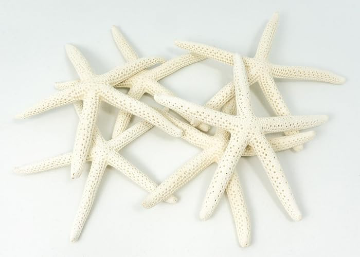 Starfish Decor - Star Fish for Craft - 6pk Real 3-4" White Sea Stars - Beach Wedding Decor - Coas... | Amazon (US)