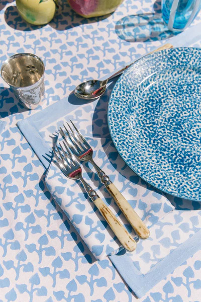 Big Sky Dinner Napkins | Julia Amory