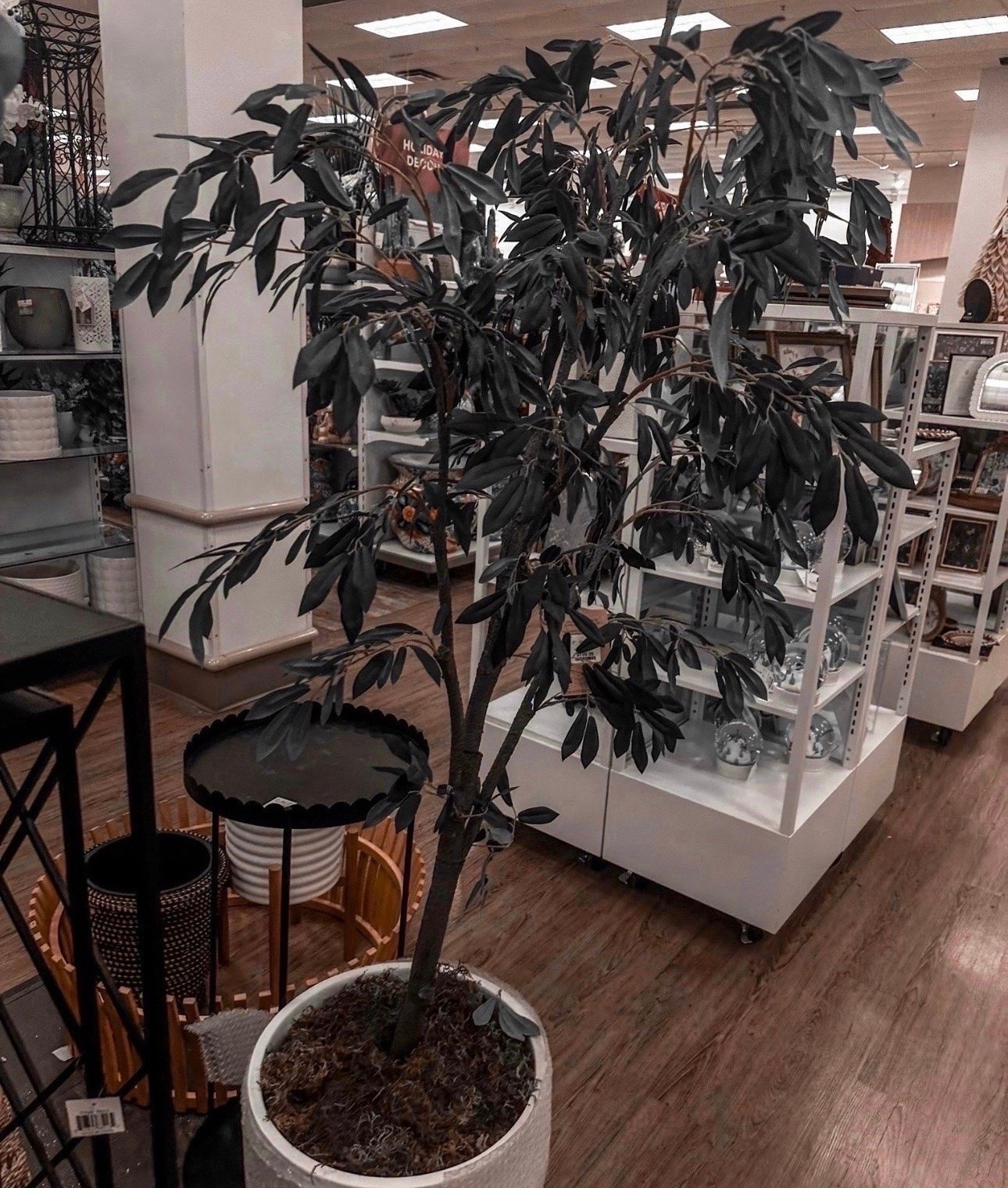Found the perfect "forever" greenery! 🌿 This olive tree adds that high-end designer look without the maintenance. Perfect for filling that empty corner in your living room or entryway.

#LTKHome