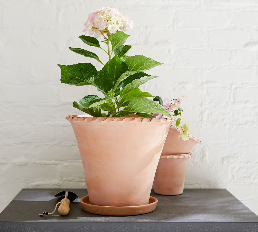 Provence Scalloped Edge Planters | Pottery Barn (US)