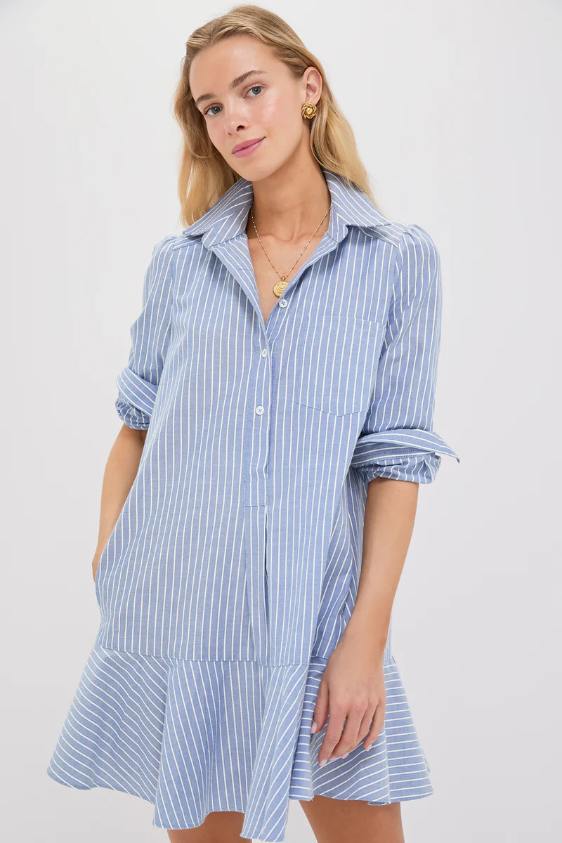 Blue Stripe Callahan Shirt Dress | Tuckernuck (US)