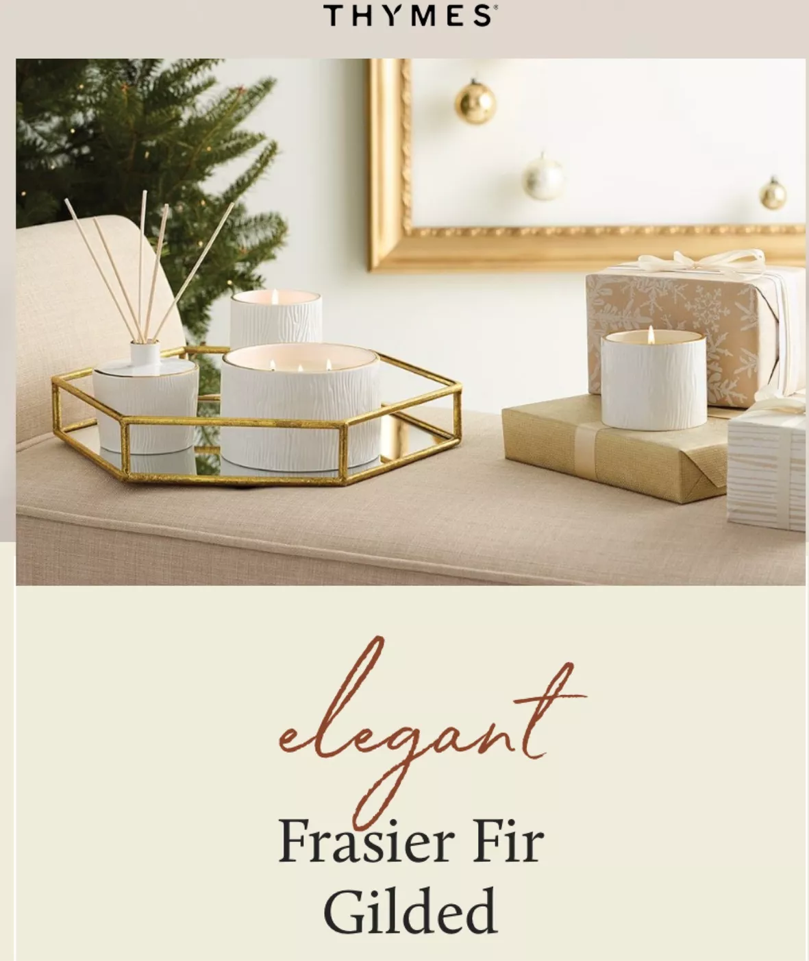 Frasier Fir Ceramic Reed Diffuser|Thymes