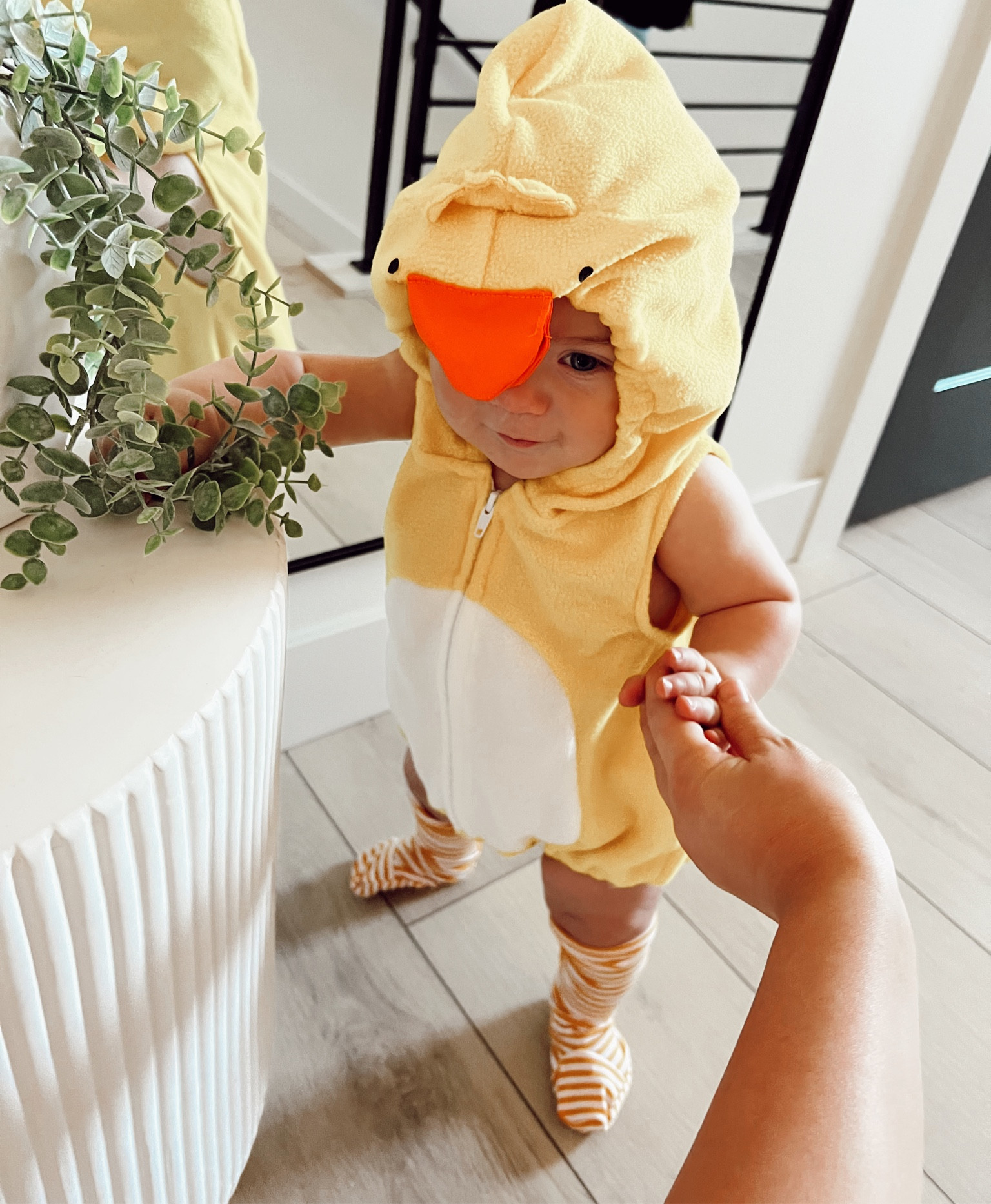 Which came first the chicken or the egg?

#LTKHoliday #LTKHalloween #LTKbaby