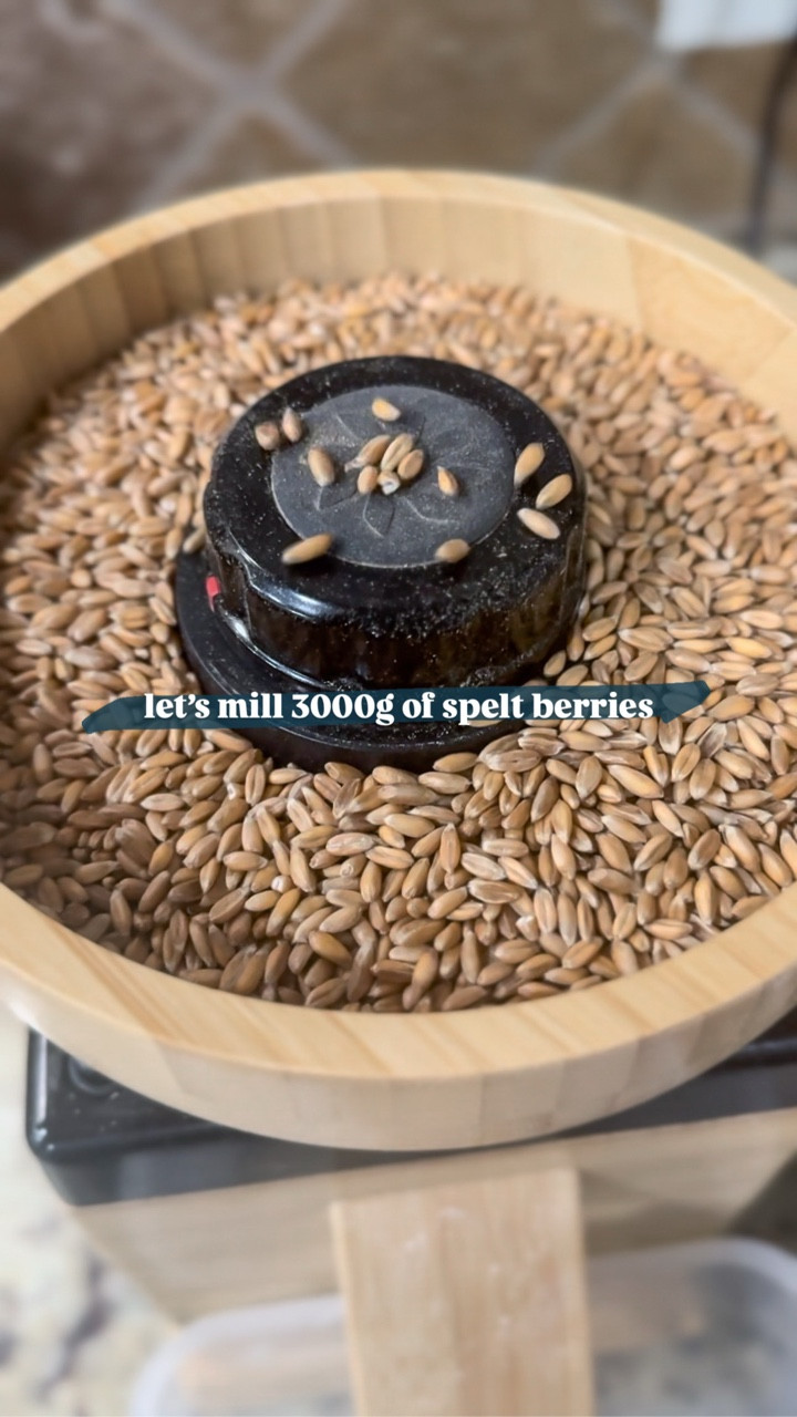 Whole grain, home milled. Nothing fancy — just real. 🌾

Want to start milling at home? Use code JOANNA20 at checkout for $20 off @nutrimill grain mills :) 

#speltsourdough #sourdoughmicrobakery #lubbocksourdough #freshlymilledsourdough

#LTKFamily #LTKHome