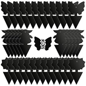 USKICH Sticky Trap Fruit Fly and... | Amazon (US)