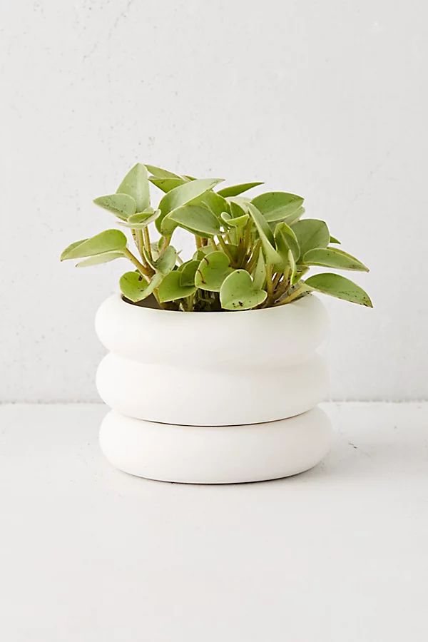 Areaware Mini Stacking Planter | Urban Outfitters (US and RoW)