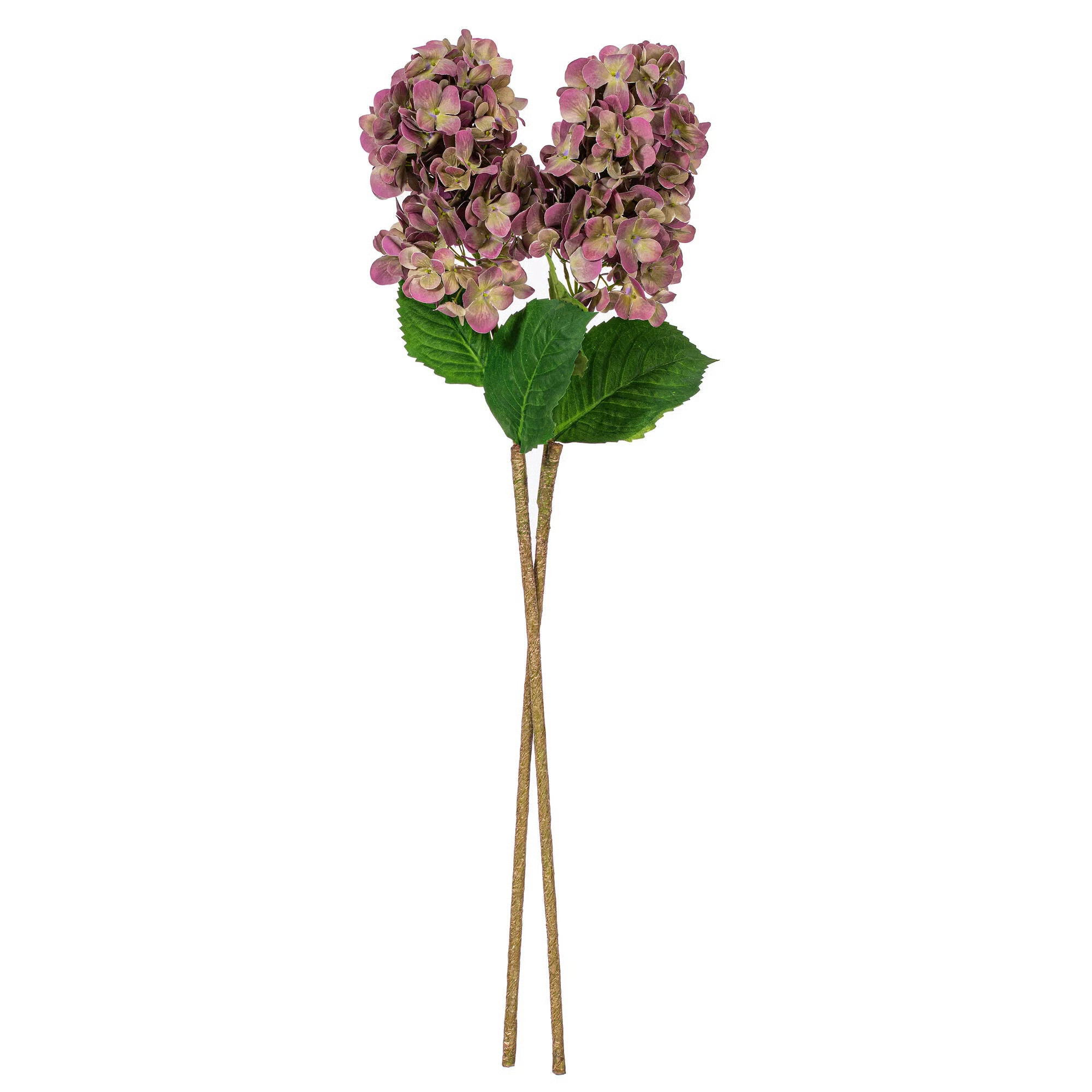 Primrue Lavender Stem | Wayfair | Wayfair North America
