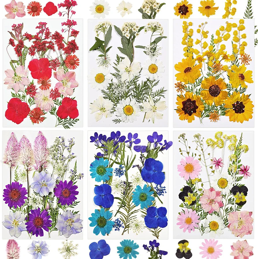 CONVELIFE Dried Flowers for Resin, 106pcs Natural Flowers and Leaves Compressed, Vacuum Packed DI... | Amazon (US)