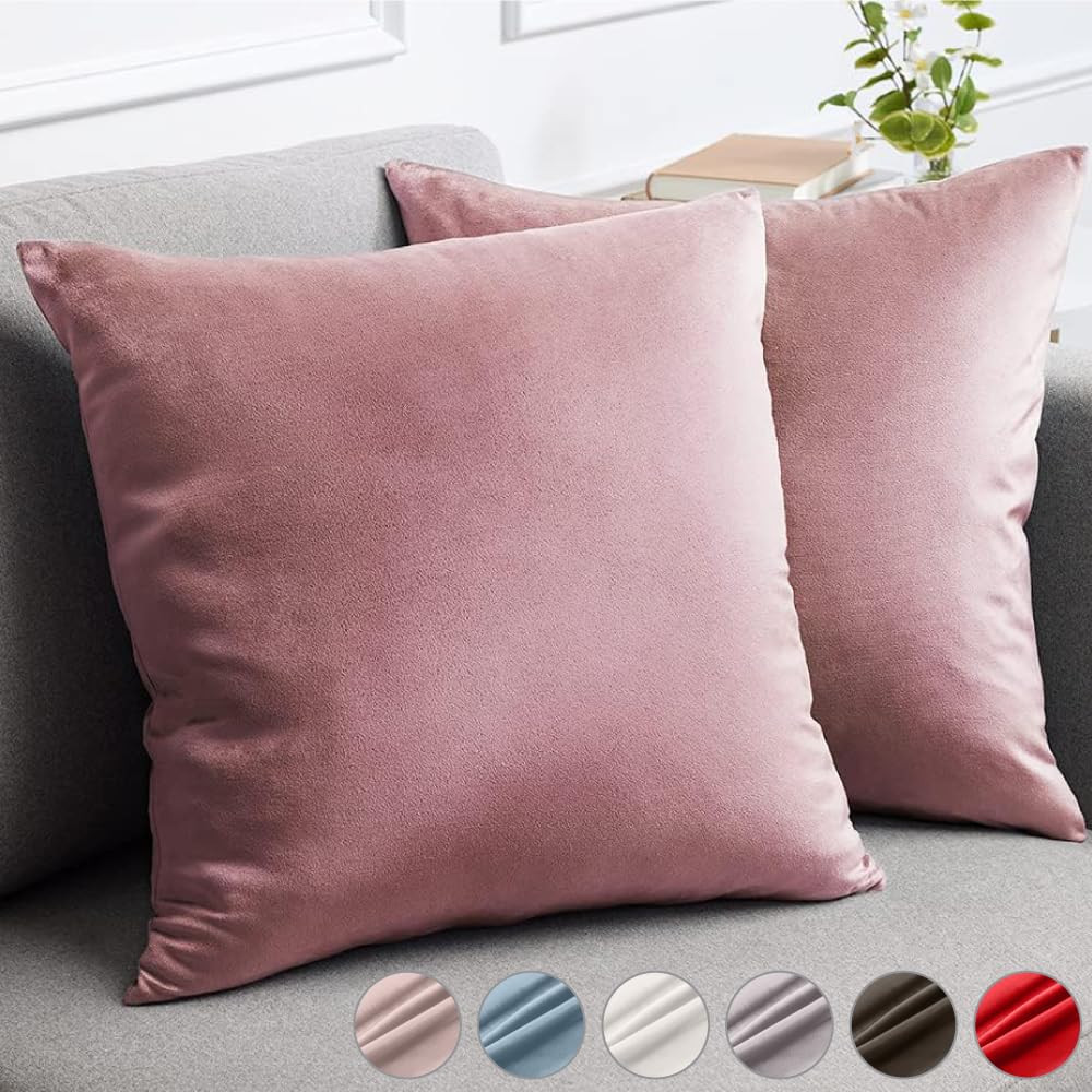 lalaLOOM Velvet Throw Pillow Covers, Set of 2, 18x18 Decorative Square Pillows Home Decor, Soft A... | Amazon (US)