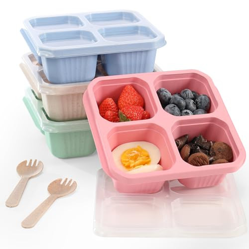 DIMBRAH Snack Containers (4 Pack), Reusable 4 Compartment Snack Box, Small Bento Box, Lunchable Containers for Work and Traveling - With Forks | Amazon (US)