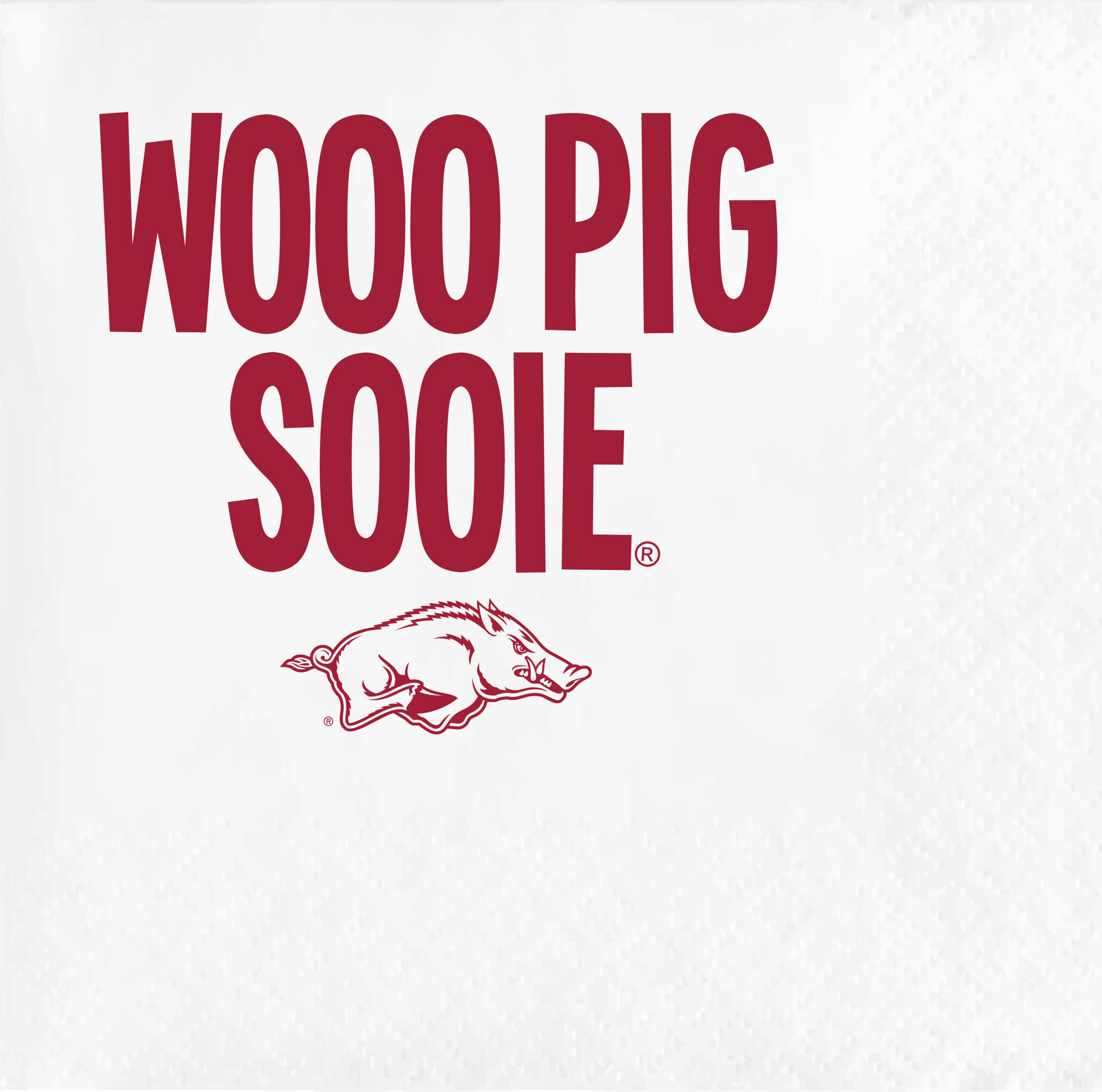 University of Arkansas/Wooo Pig Sooie – Napkin Pack | Two Funny Girls