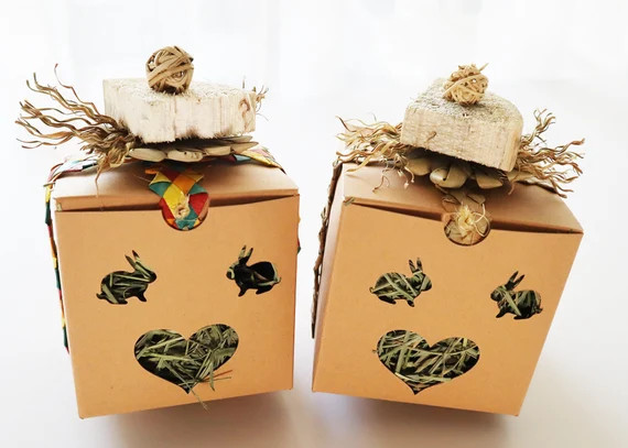 Hay In A Box | Etsy (US)