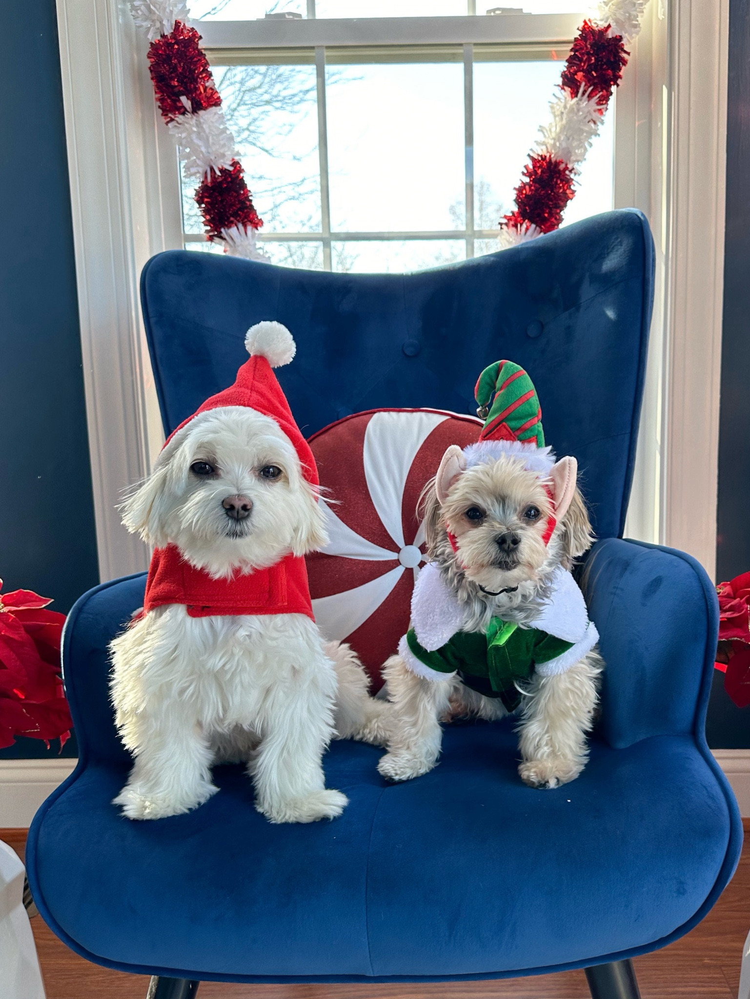 Elfin around 

#LTKSeasonal #LTKHoliday