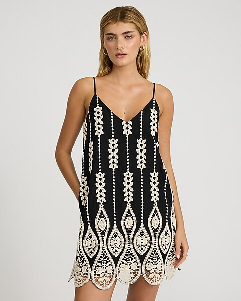 Embroidered V-Neck Sleeveless Mini Shift Dress | Express