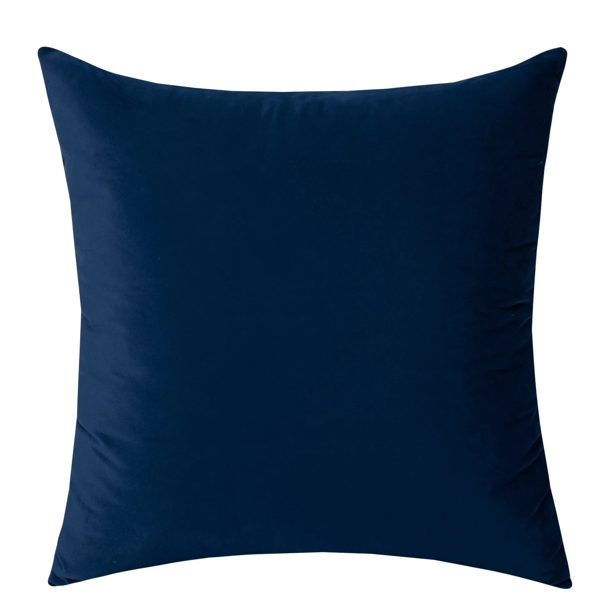 WARISI Square Velvet Pillow Cover and Insert & Reviews | Wayfair | Wayfair North America