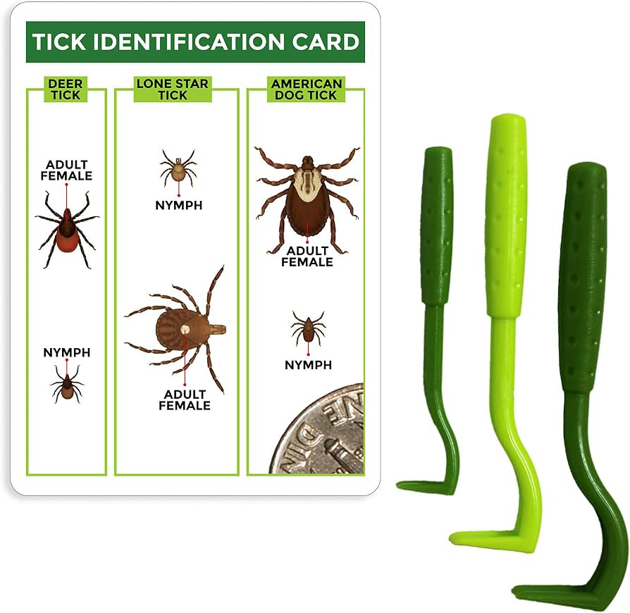 TickCheck Tick Remover Value 3 Pack - Tick Remover Tools + Tick Identification Card - for Humans,... | Amazon (US)