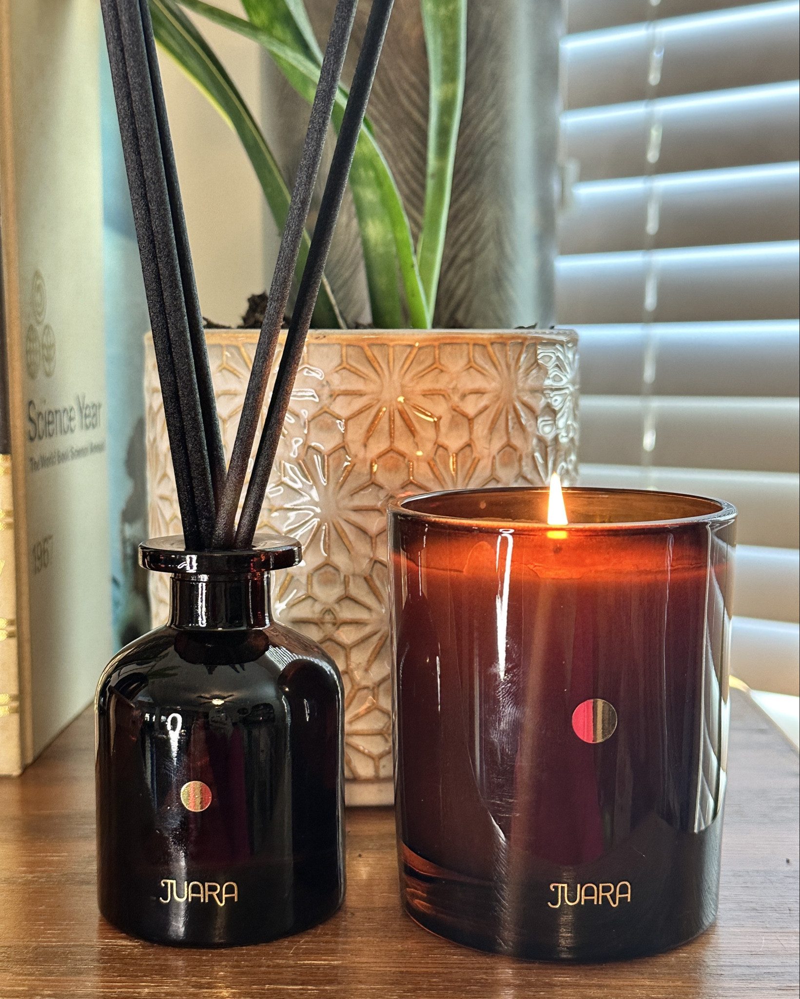 This reed diffuser is perfection! 

#LTKOver40 #LTKGiftGuide #LTKHome