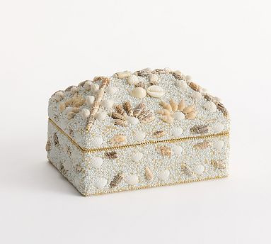Natural Seashell | Pottery Barn (US)