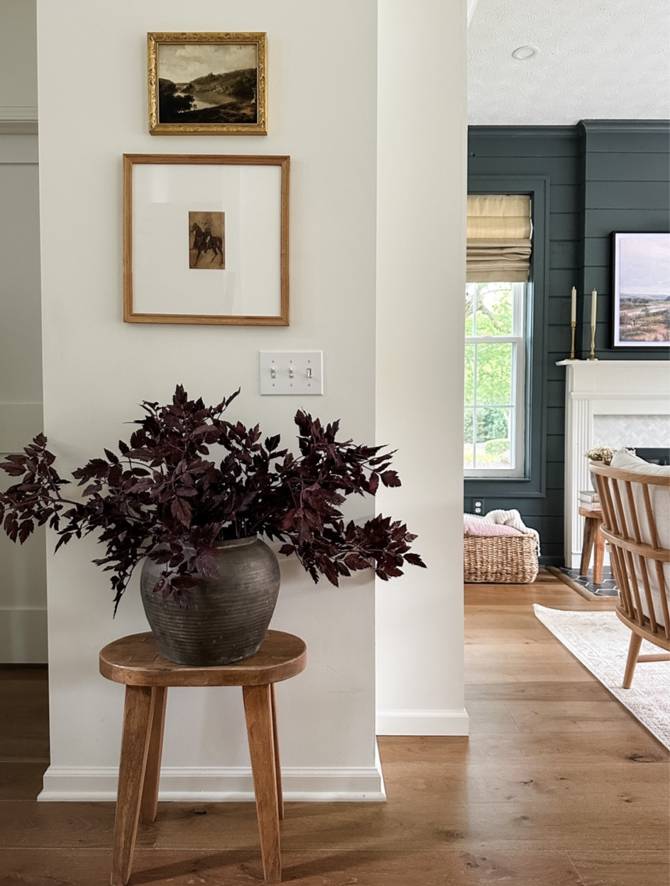 My very favorite fall stems! And a new Amazon vase. I used 5 stems here. 

#LTKSeasonal #LTKhome #LTKFind