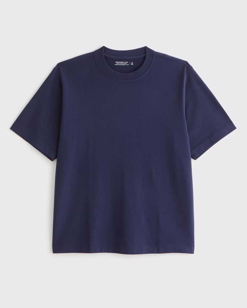 Premium Heavyweight 2.0 Tee | Abercrombie & Fitch (US)