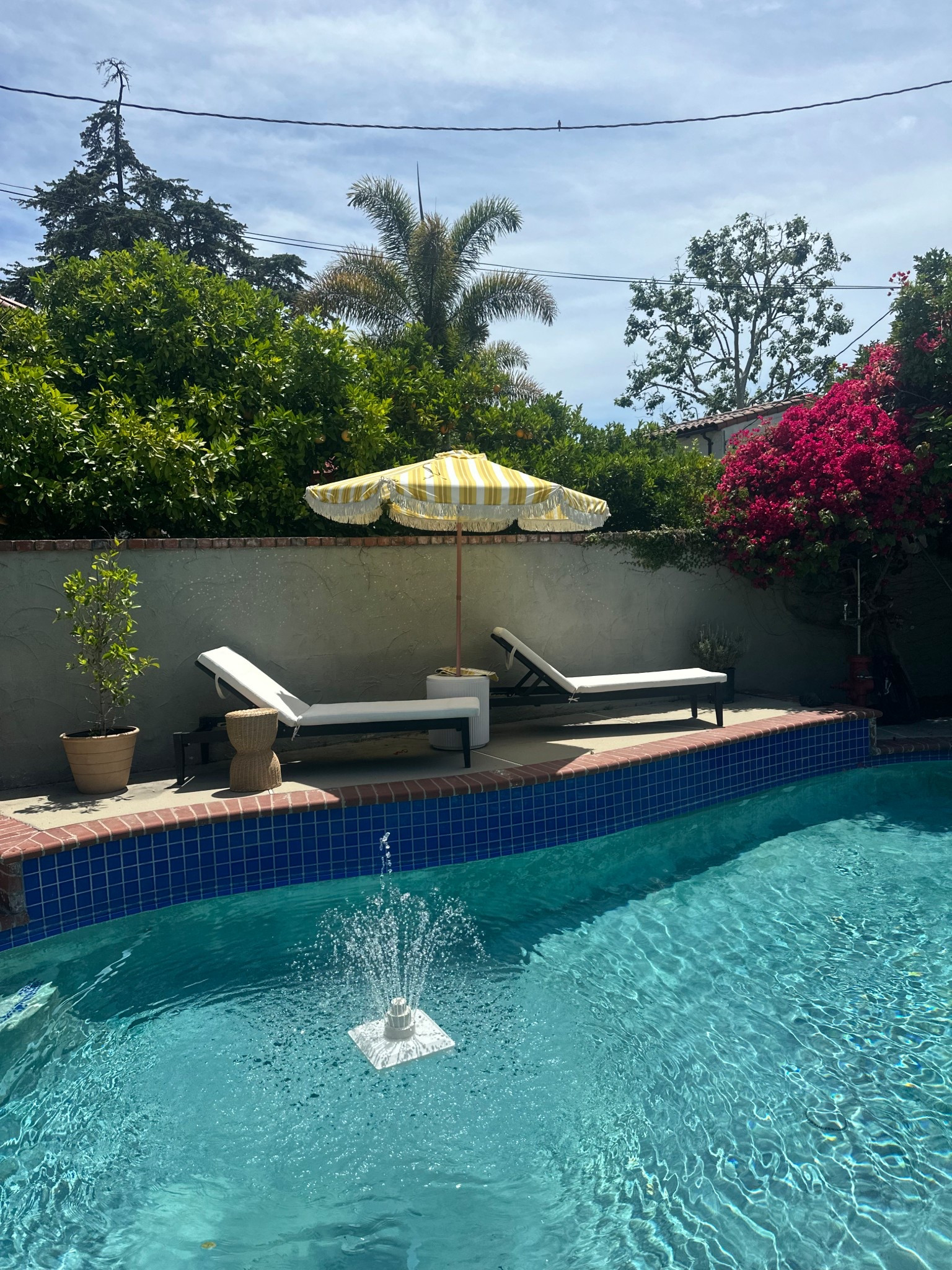 Defrosting the backyard for summer ☀️🍾🫧