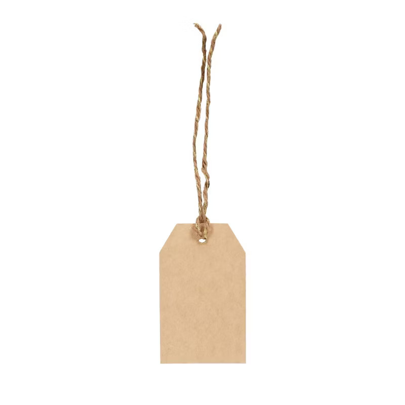 10ct Kraft Gift Tags Brown - Spritz™ | Target