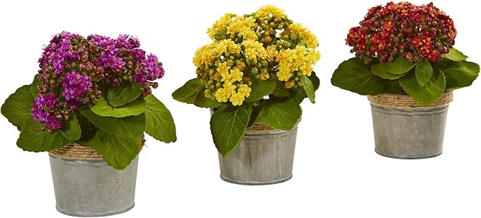 Nearly Natural Kalanchoe Artificial Arrangements (Set of 3) | Amazon (US)