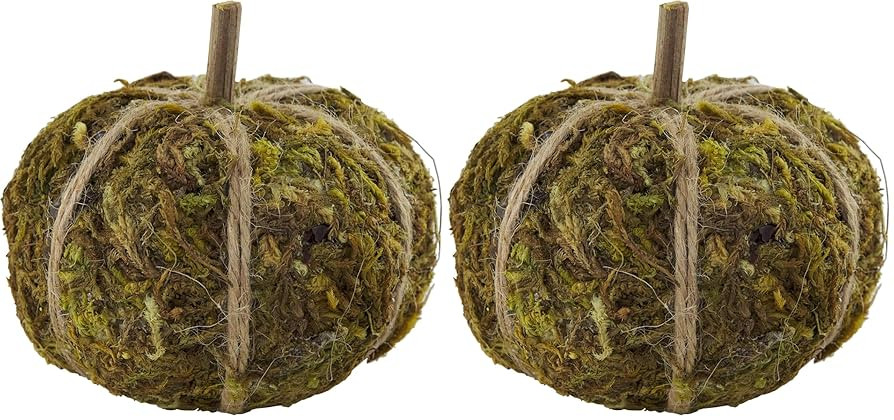 Mud Pie Moss Mini Pumpkin Vase Filler (Pack of 2) | Amazon (US)