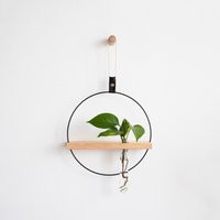 Plant Propagation Wall Hanging, Station Test Tube Holder, Planter, Shelf | Etsy (US)